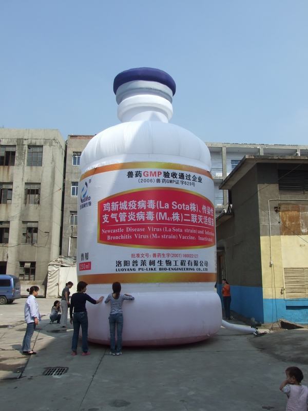 环县广告宣传气模